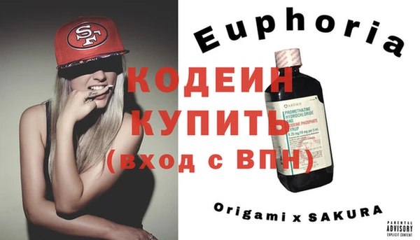гашик Коряжма