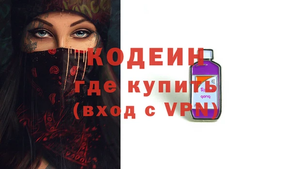 гашик Коряжма