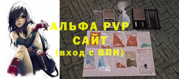 молекула духа Каменка