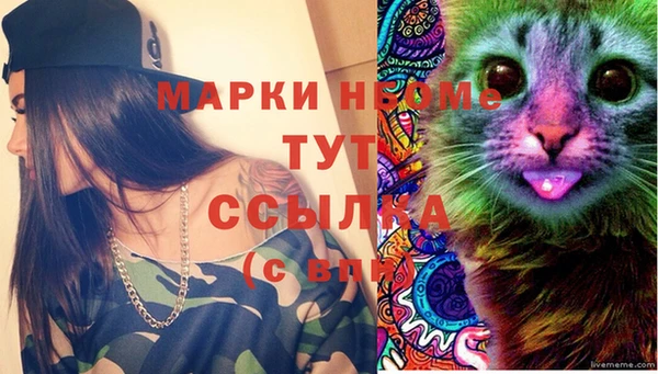прущий лед Касимов