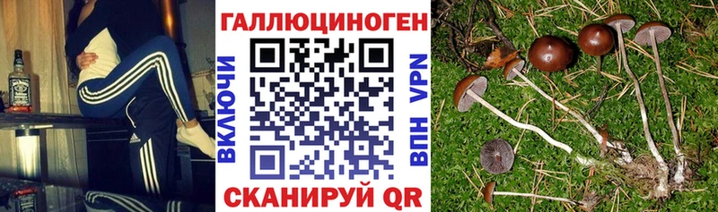 Купить закладки  Канск  Галлюциногенные грибы мухоморы 